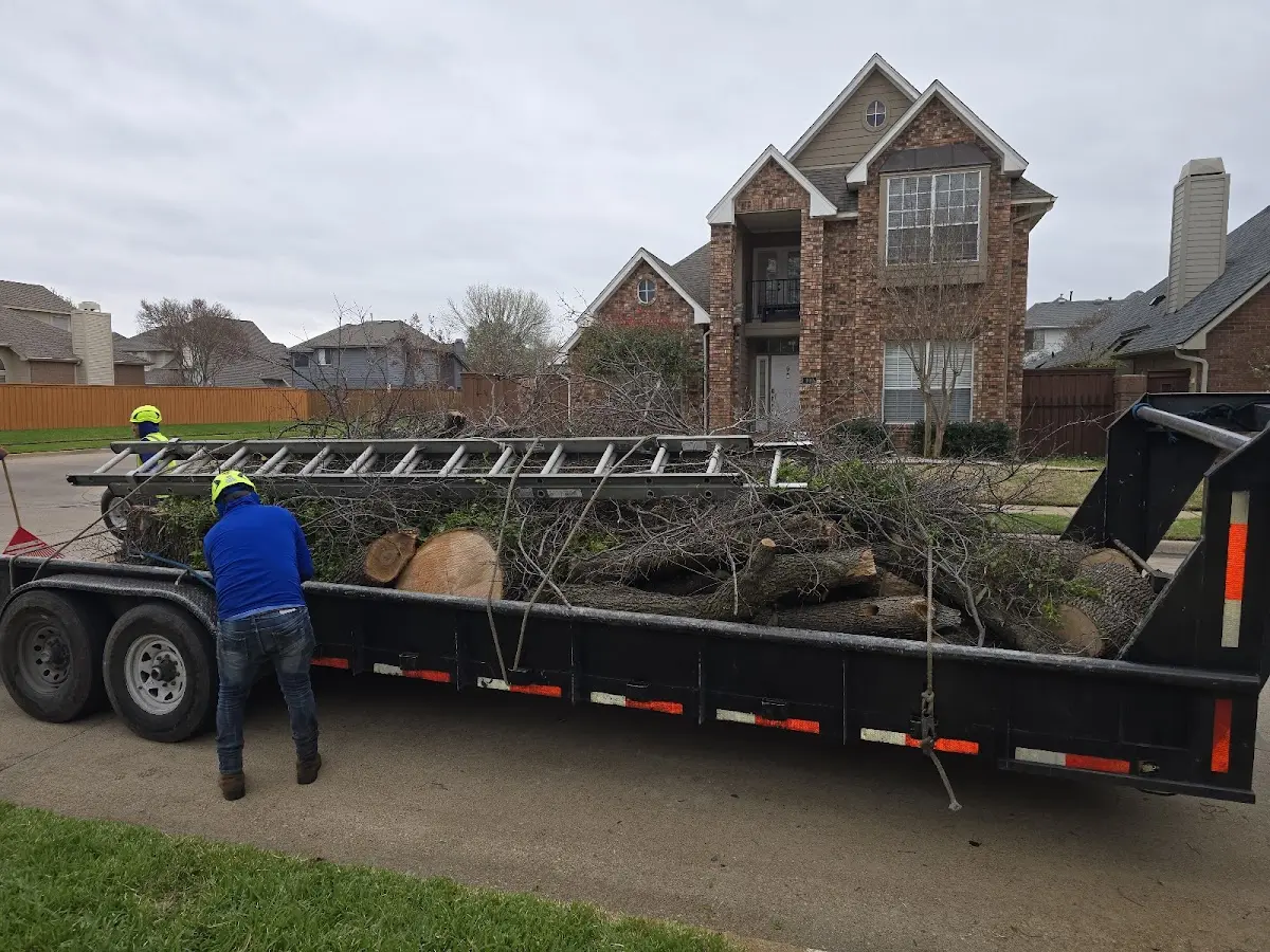 Expert Lot Clearing with proper safety equipment in Ingraham